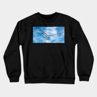 Pigeons on a wire Crewneck Sweatshirt